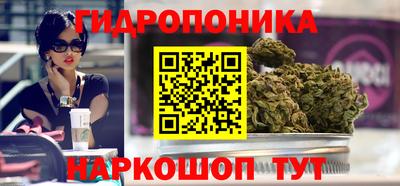 spice Прохладный
